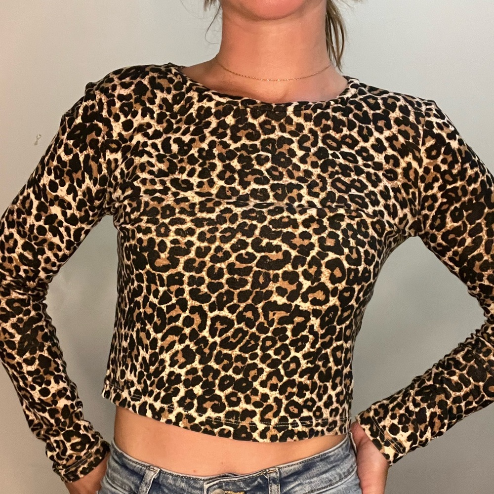 Zara cheetah print crop top